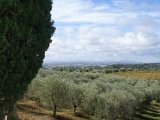 Chianti-2 2016 - 110.jpg